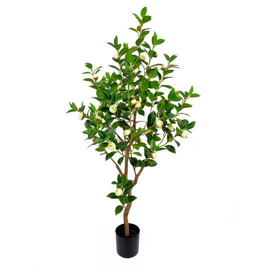 Camellia-KA0236-H120cm-3.94feet