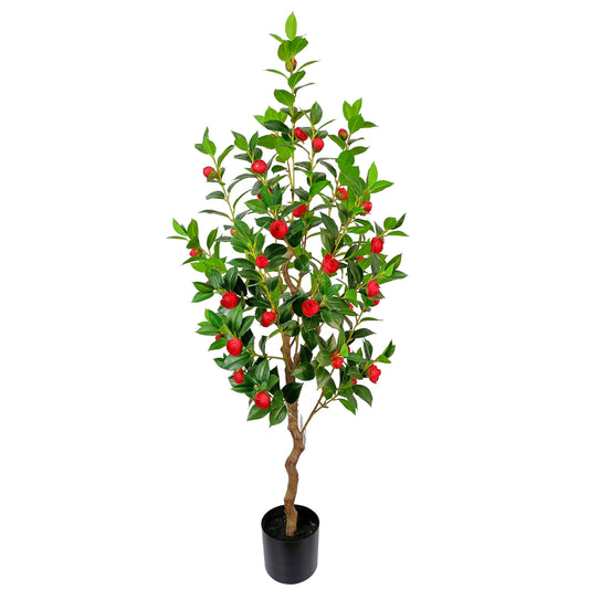 Camellia-KA0245-H130cm-4.27feet