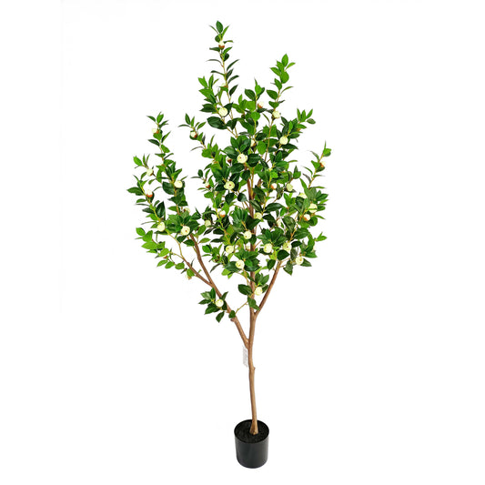 Camellia-KA0265-H190cm-6.23feet