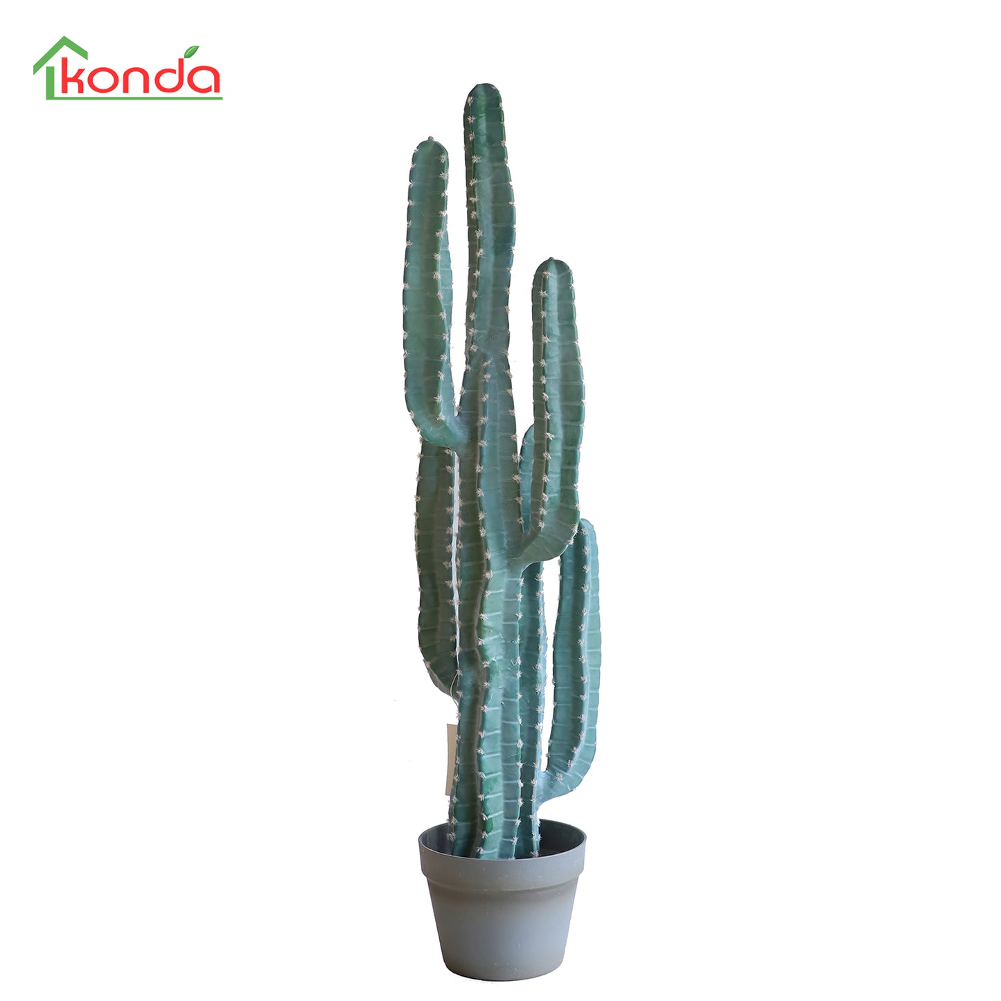 D000096 Cactus 六头五角仙人柱盆景 H96CM