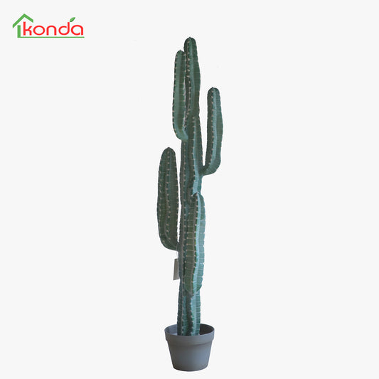 D001123 Cactus 五头五角仙人柱盆景 H123CM
