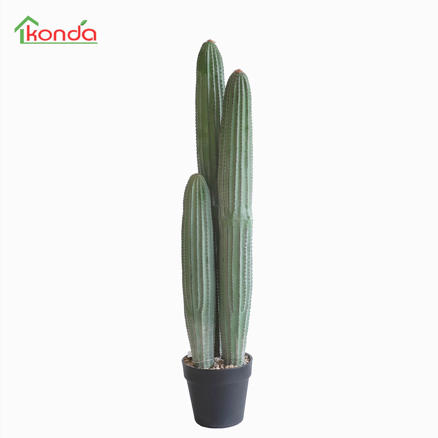 D004075 Cactus H75CM