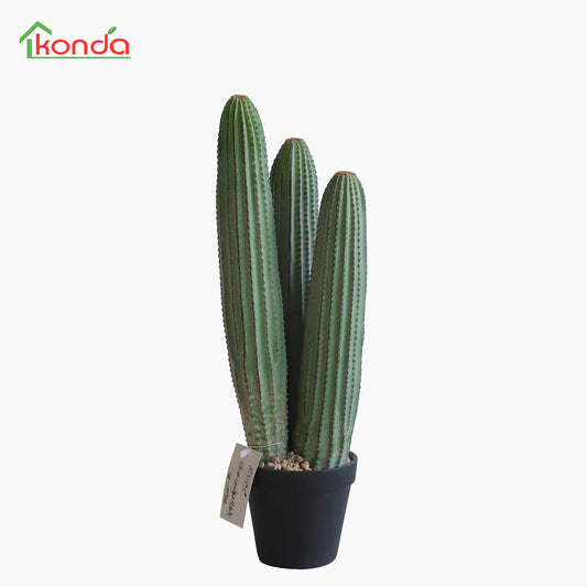 D005048 Cactus H48CM