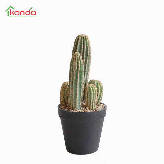 D011026 Cacatus H26CM