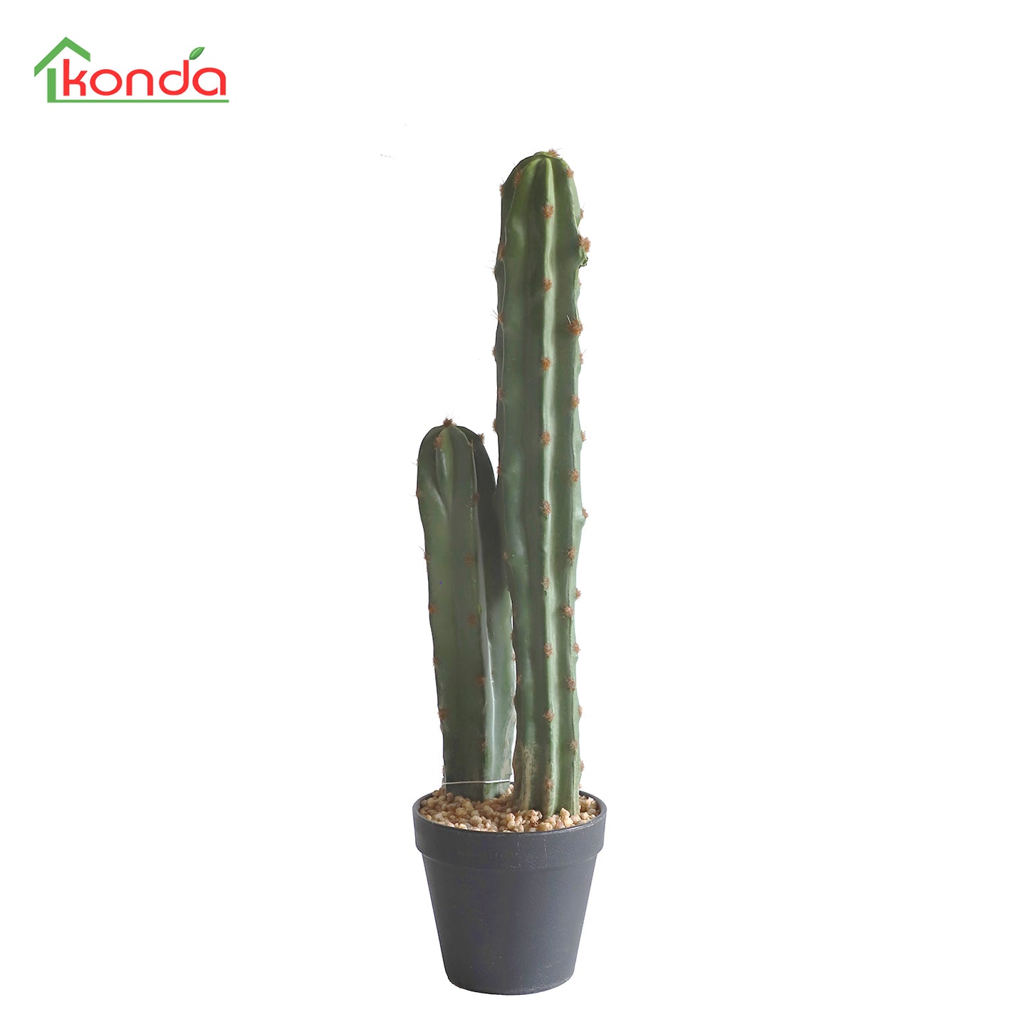 D019052 Cacatus H52CM