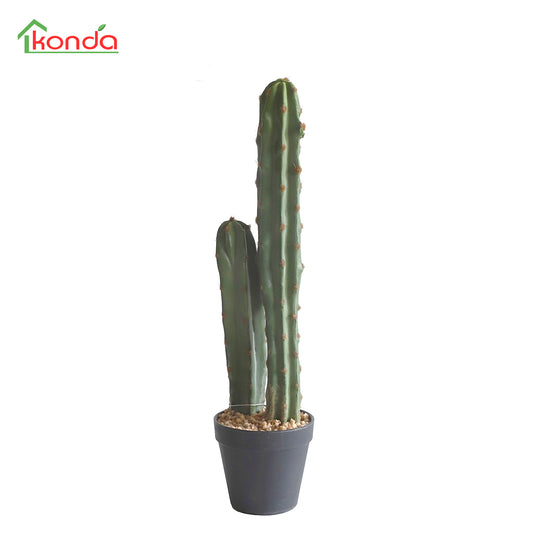 D019052 Cacatus H52CM
