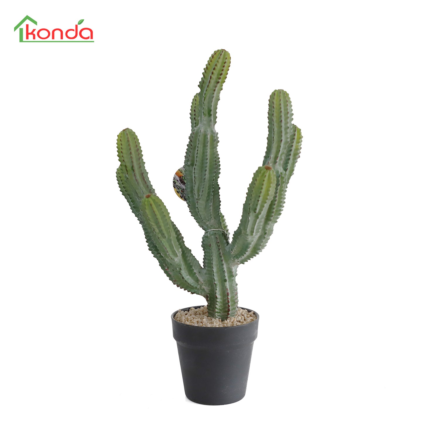D020055 Cacatus H55cmW26cmW23cm