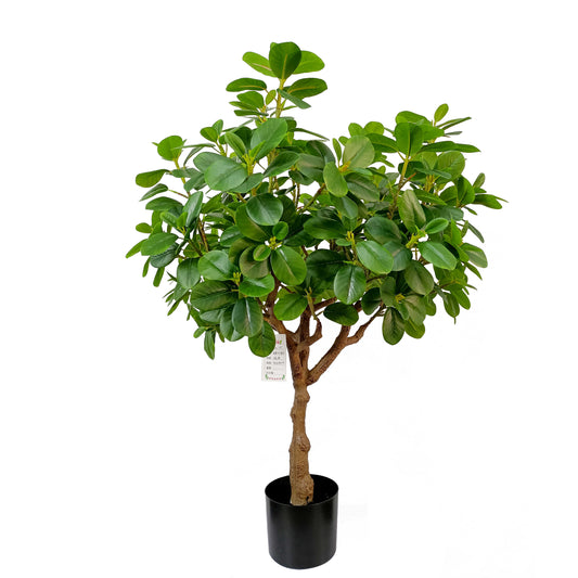 Ficus tree-KA0249-H95cm-3.12feet