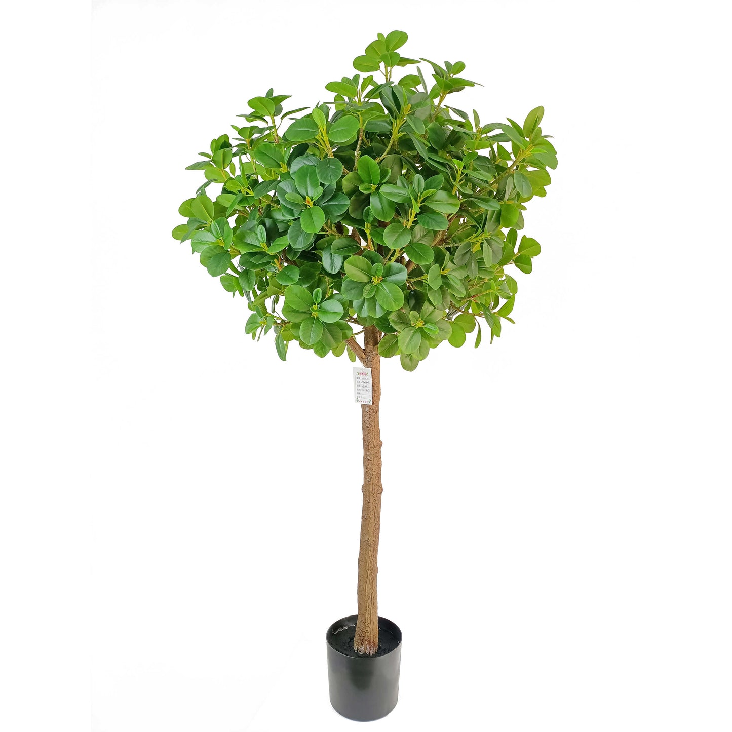 Ficus tree-KA0251-H160cm-5.25feet