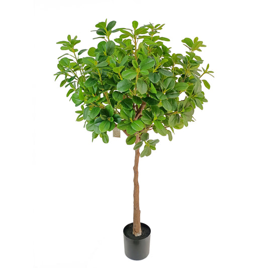 Ficus tree-KA0253-H130cm-4.27feet