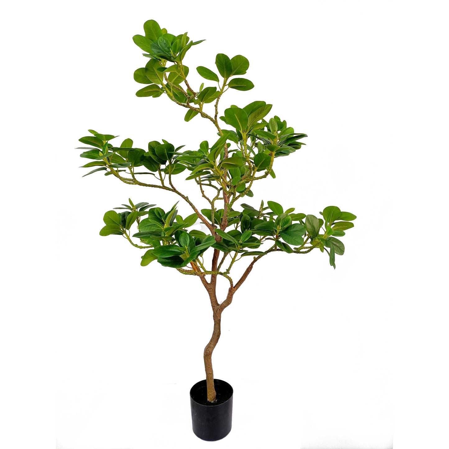 Ficus tree-KA0257-H110cm-3.61feet