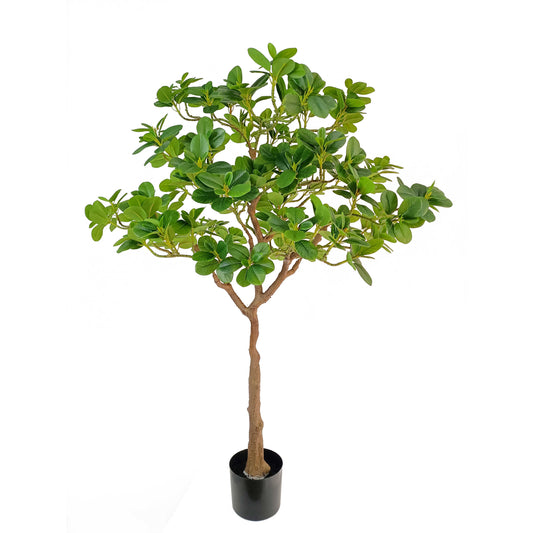 Ficus tree-KA0258-H140cm-4.59feet