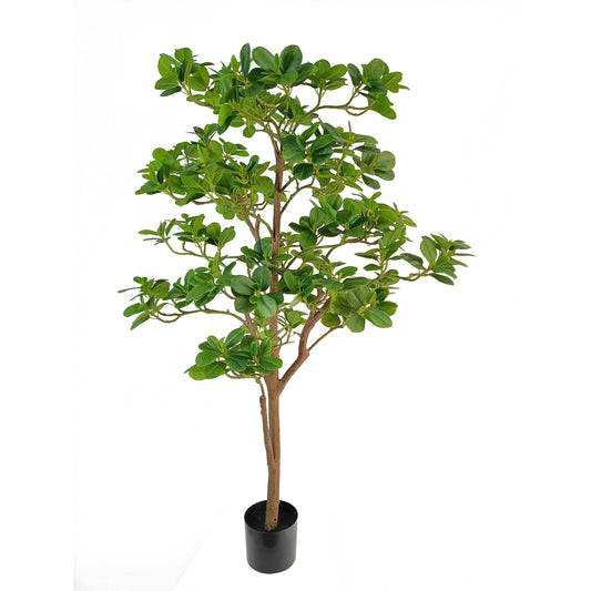 Ficus tree-KA0259-H160cm-5.25feet