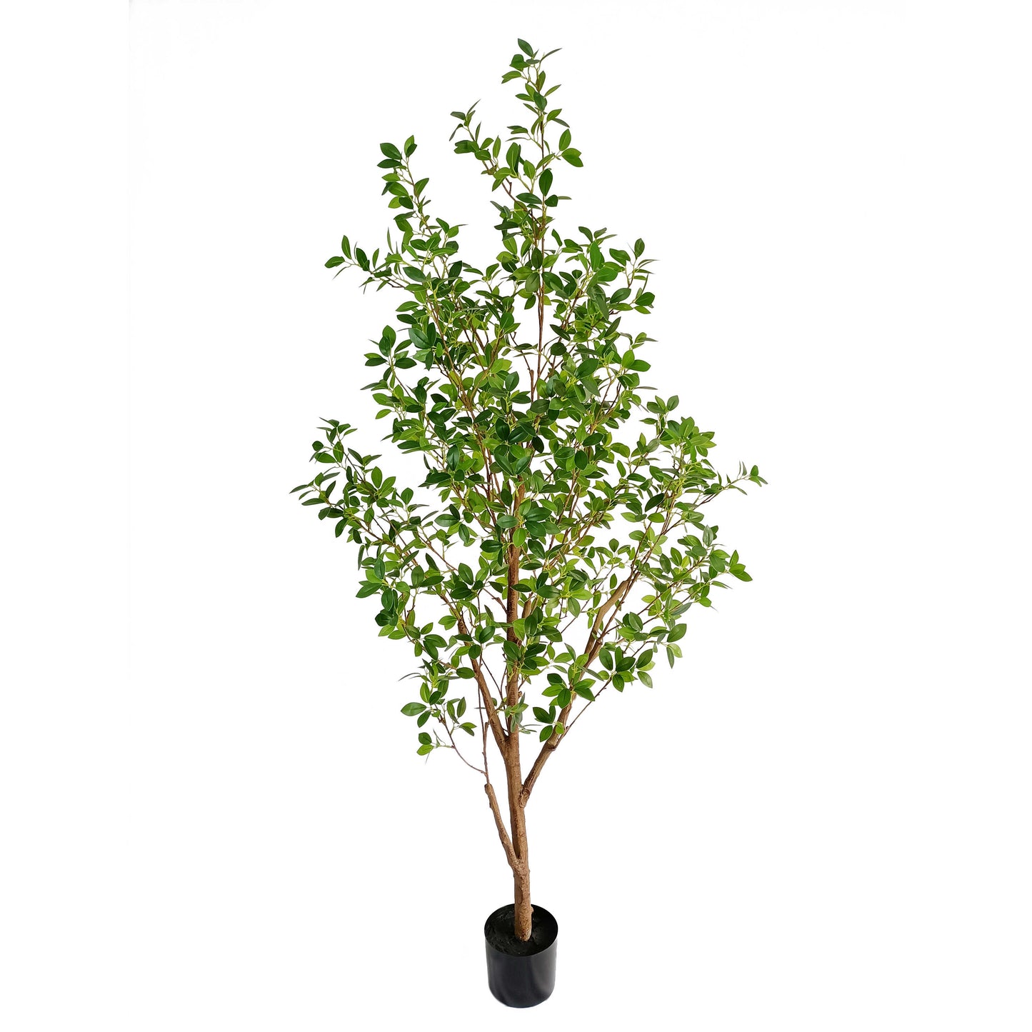 Ficus tree-KA0262-H200cm-6.56feet