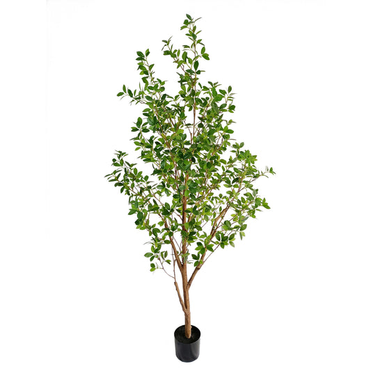 Ficus tree-KA0262-H200cm-6.56feet