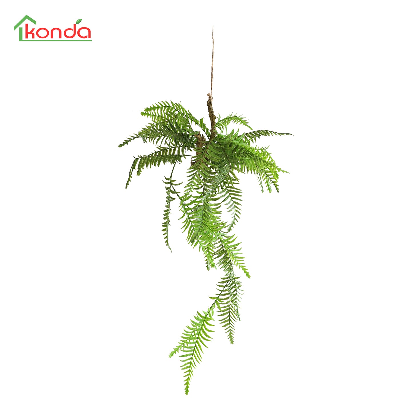 HA00079 Hanging Fern 富贵蕨树头小吊挂 H79CM