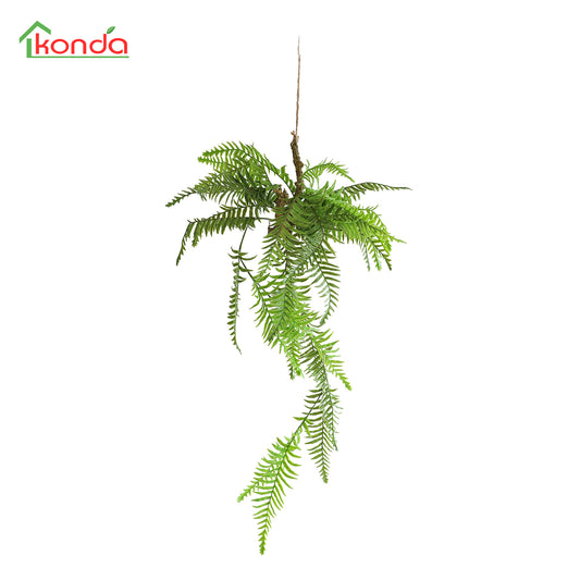 HA00079 Hanging Fern 富贵蕨树头小吊挂 H79CM