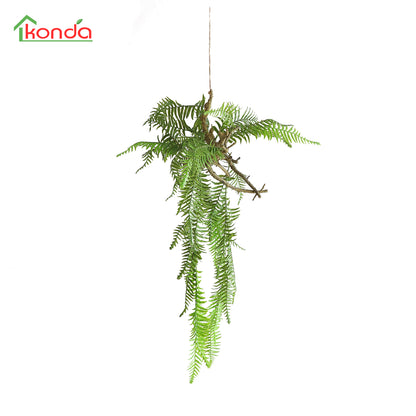 HA01097 Hanging Fern 富贵蕨树头小吊挂 H97CM