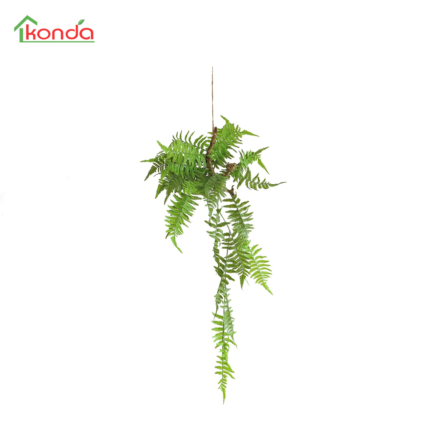 HA03079 Hanging Fern 波斯草树头小吊挂 H79CM