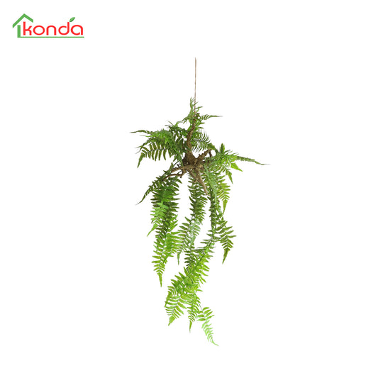 HA04097 Hanging Fern 波斯草树头中吊挂 H97CM