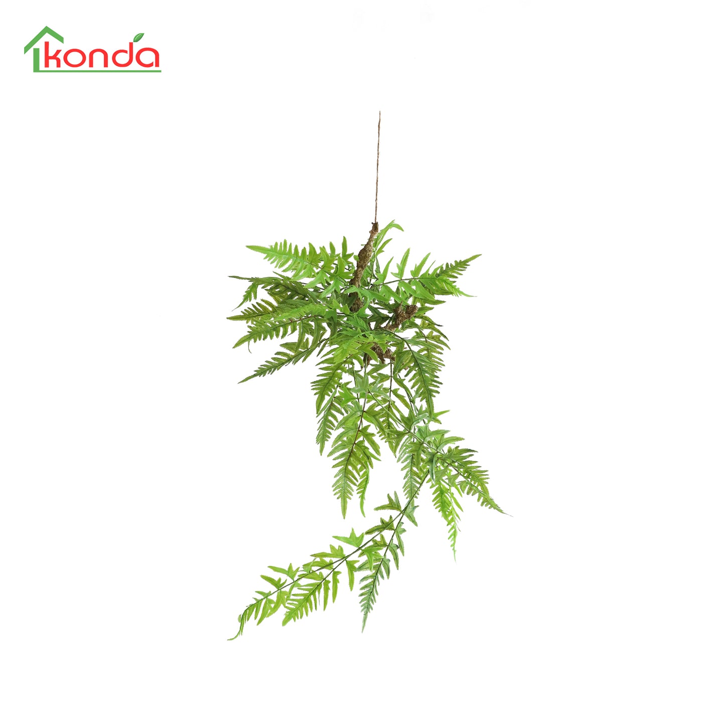 HA06079 Hanging Fern 凤尾蕨树头小吊挂 H79CM