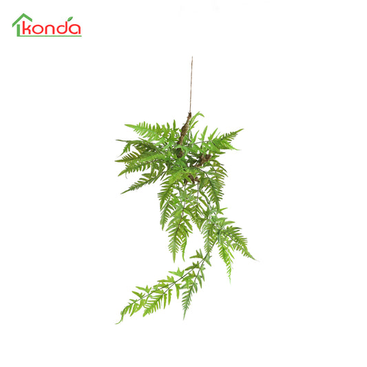HA06079 Hanging Fern 凤尾蕨树头小吊挂 H79CM