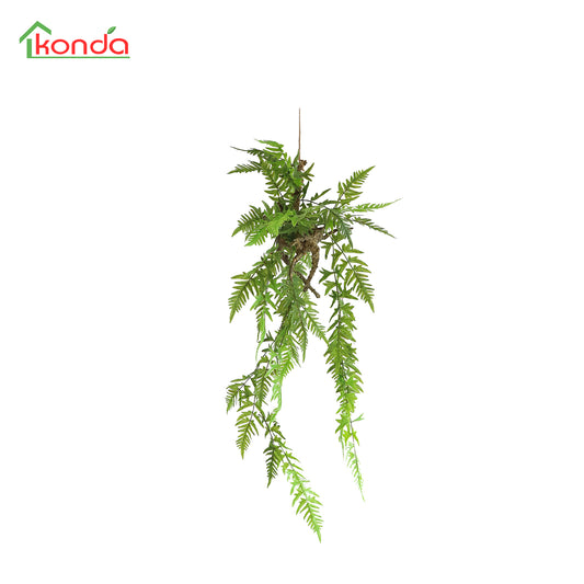 HA07097 Hanging Fern 凤尾蕨树头中吊挂 H97CM