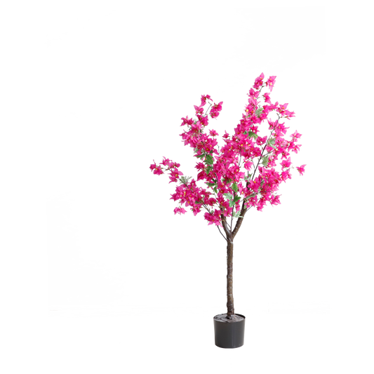 KA0011-Bougainvillea-H150cm