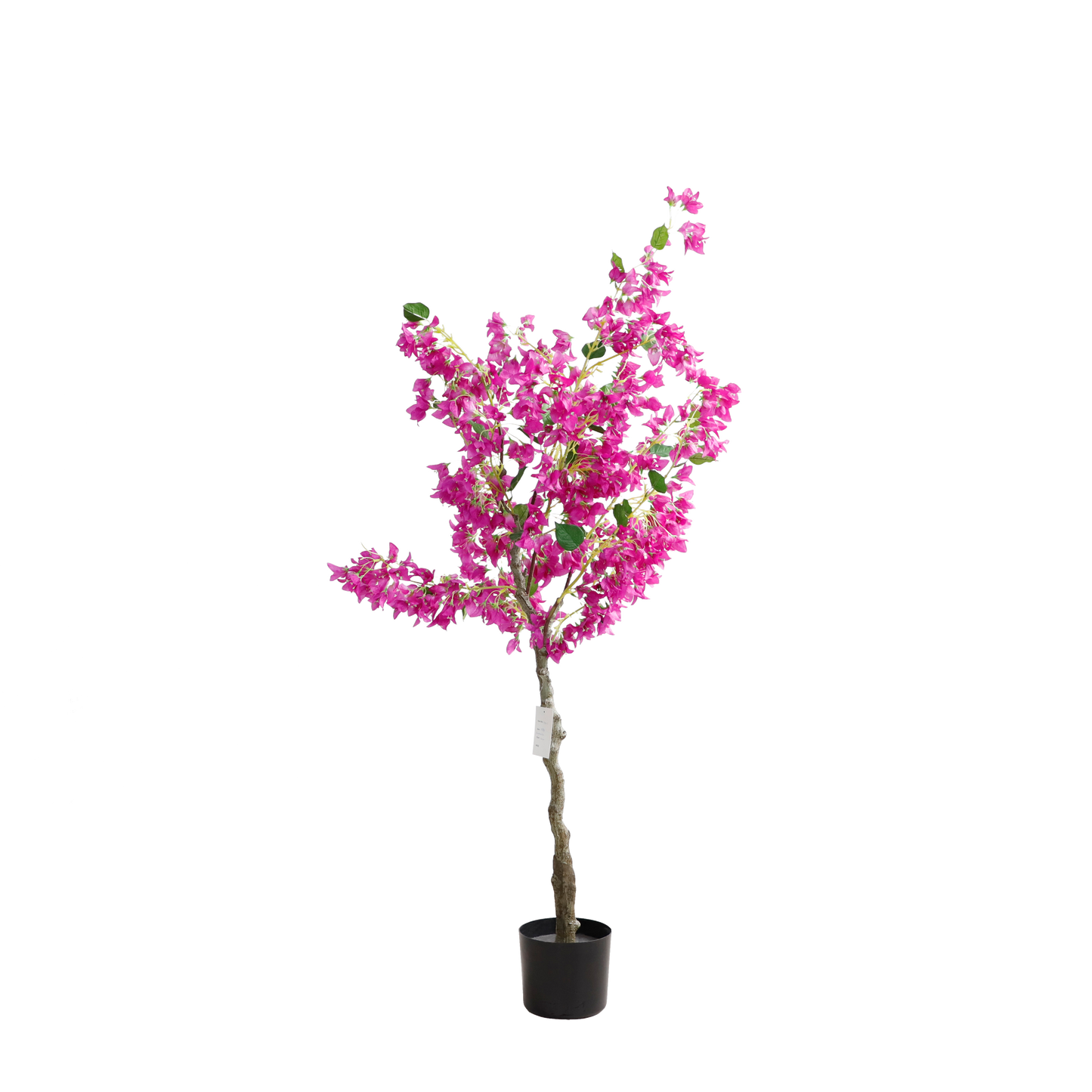 KA0015-Bougainvillea-H150cm