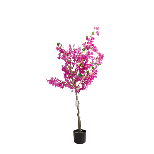 KA0015-Bougainvillea-H150cm