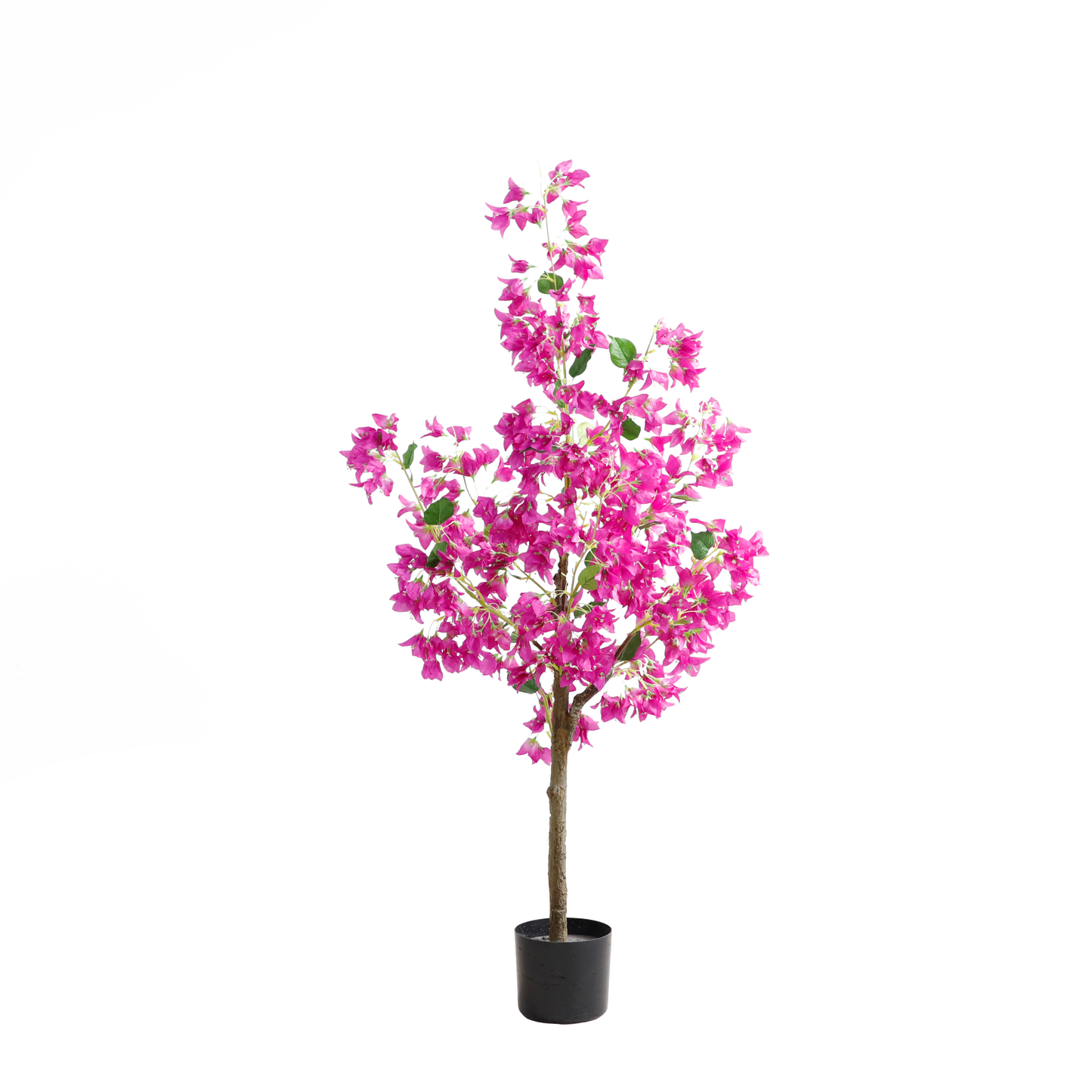 KA0016-Bougainvillea-H120cm