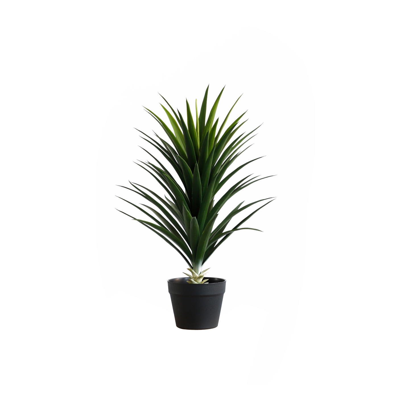 KA0022-gladiolus -H70cm