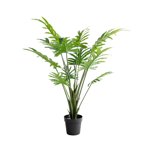 KA0023-Philodendron-H120cm