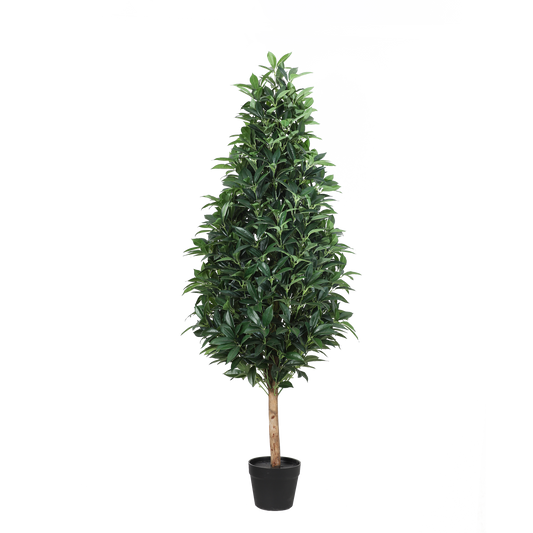 KA0024-Laurel tree-H150cm