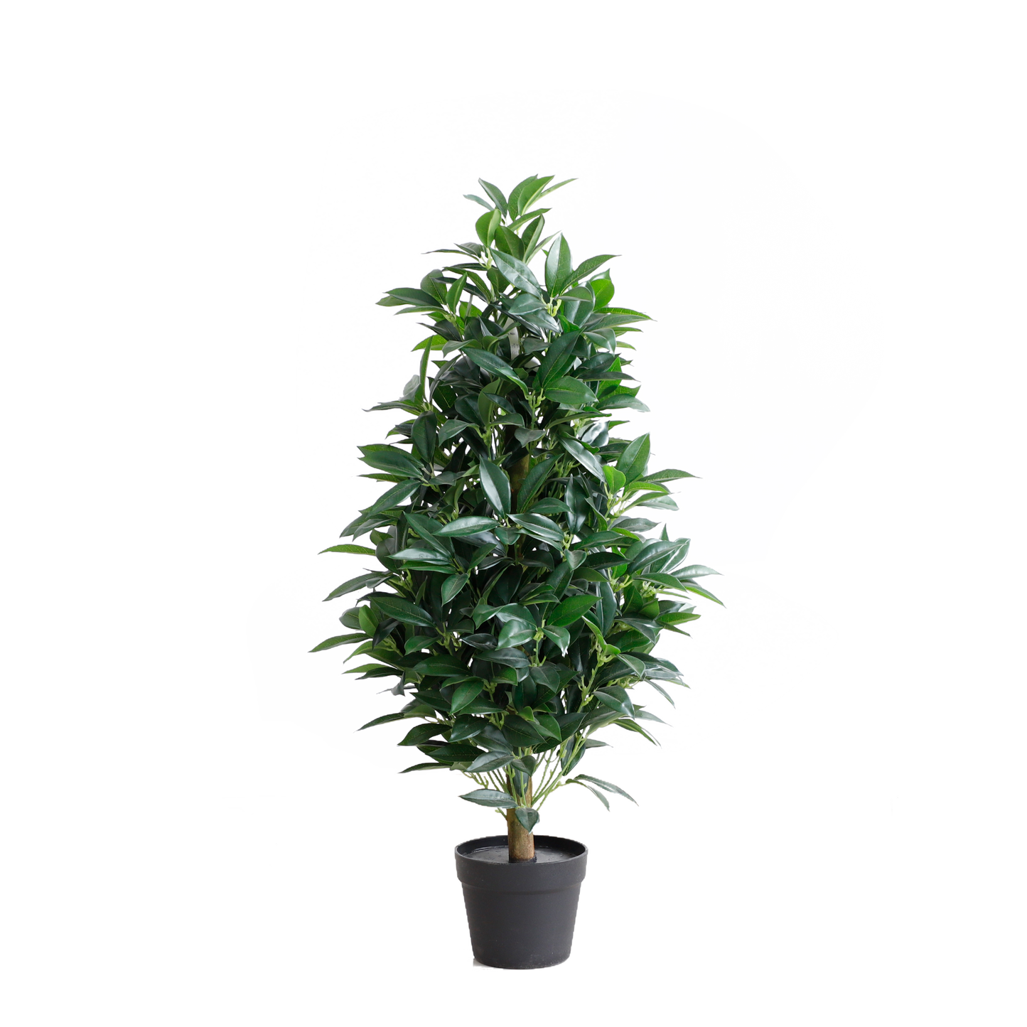KA0024-Laurel tree-H90cm