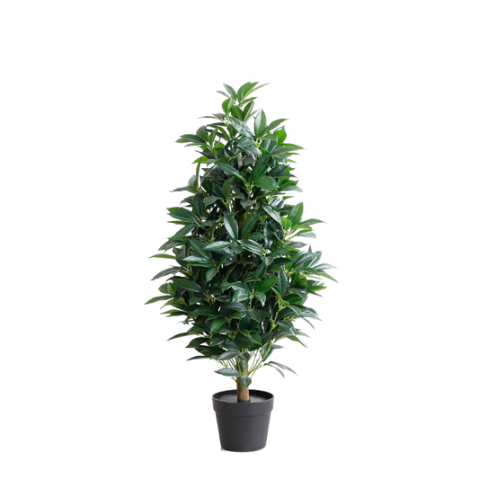 KA0024-Laurel tree-H90cm