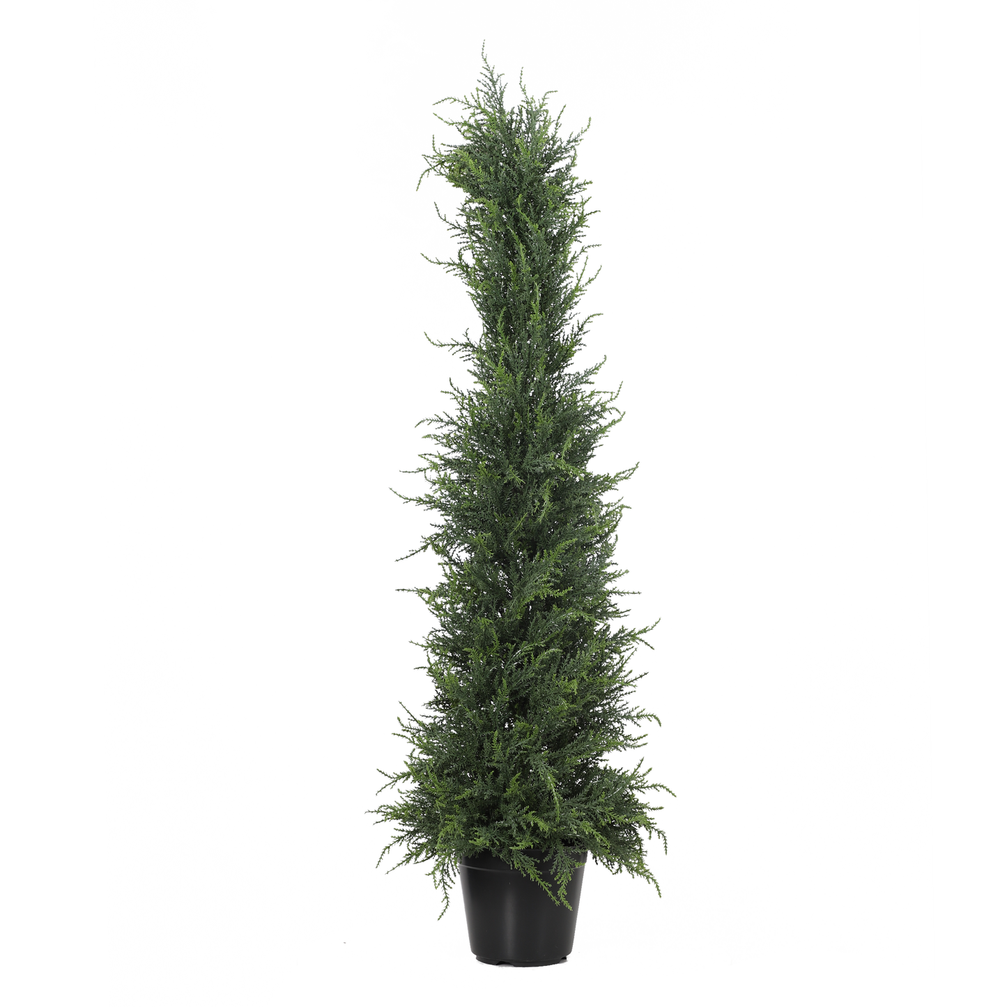 KA0051-Topiary tree-H110cm