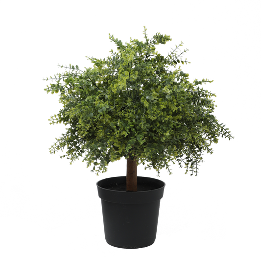 KA0053-Topiary tree-H60cm
