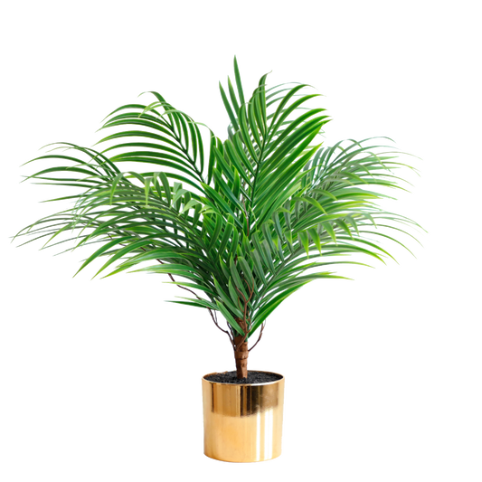 KA0055-mini Palm tree-H49cm