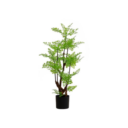 KA0056-Ferm tree-H95cm