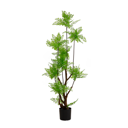 KA0058-Ferm tree-H180cm