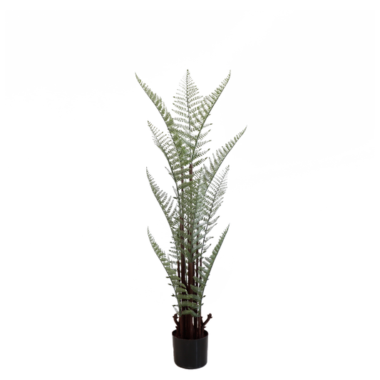 KA0058-Ferm tree-H180cm
