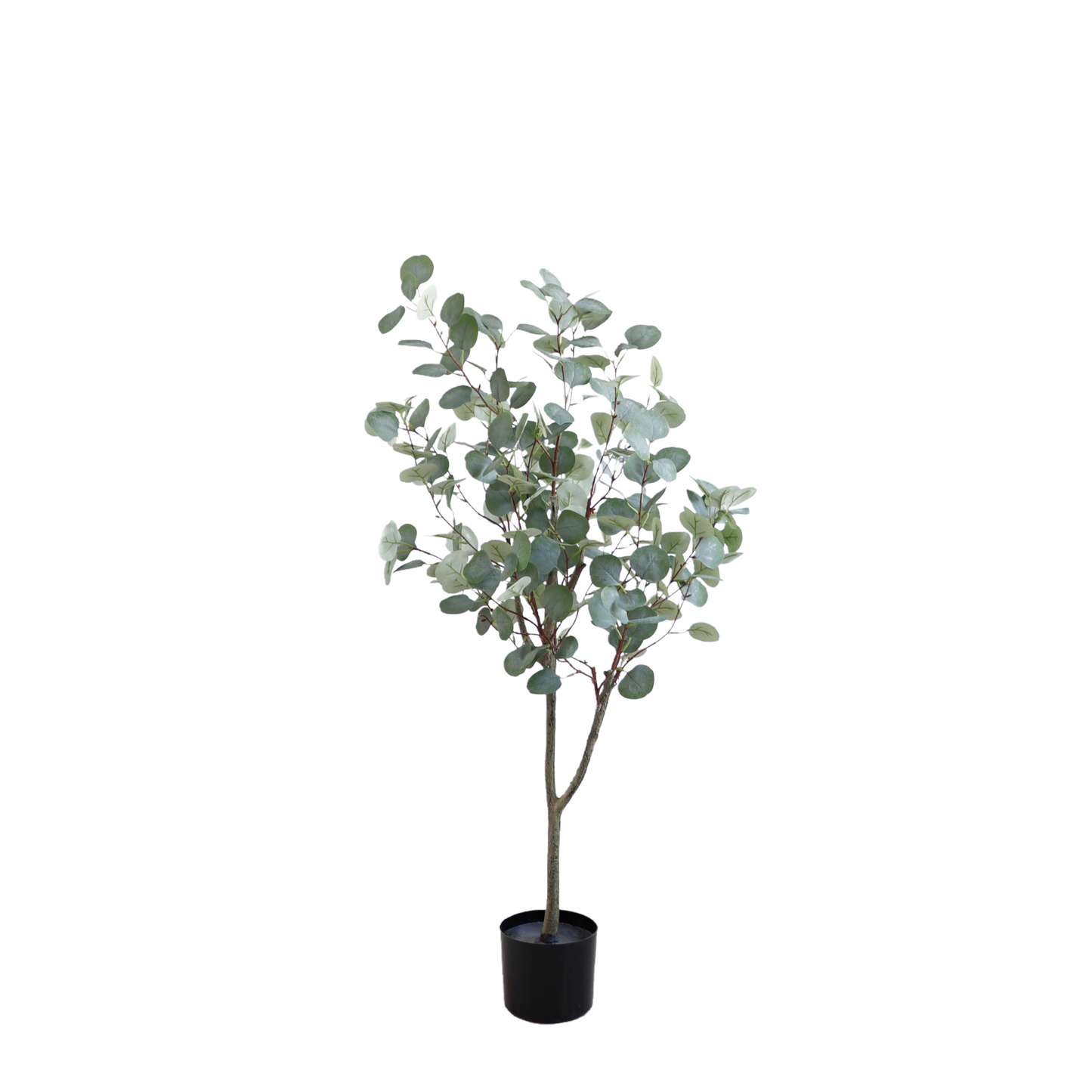KA0061-Eucalyptus Tree-H120cm