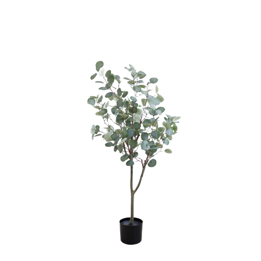 KA0061-Eucalyptus Tree-H120cm