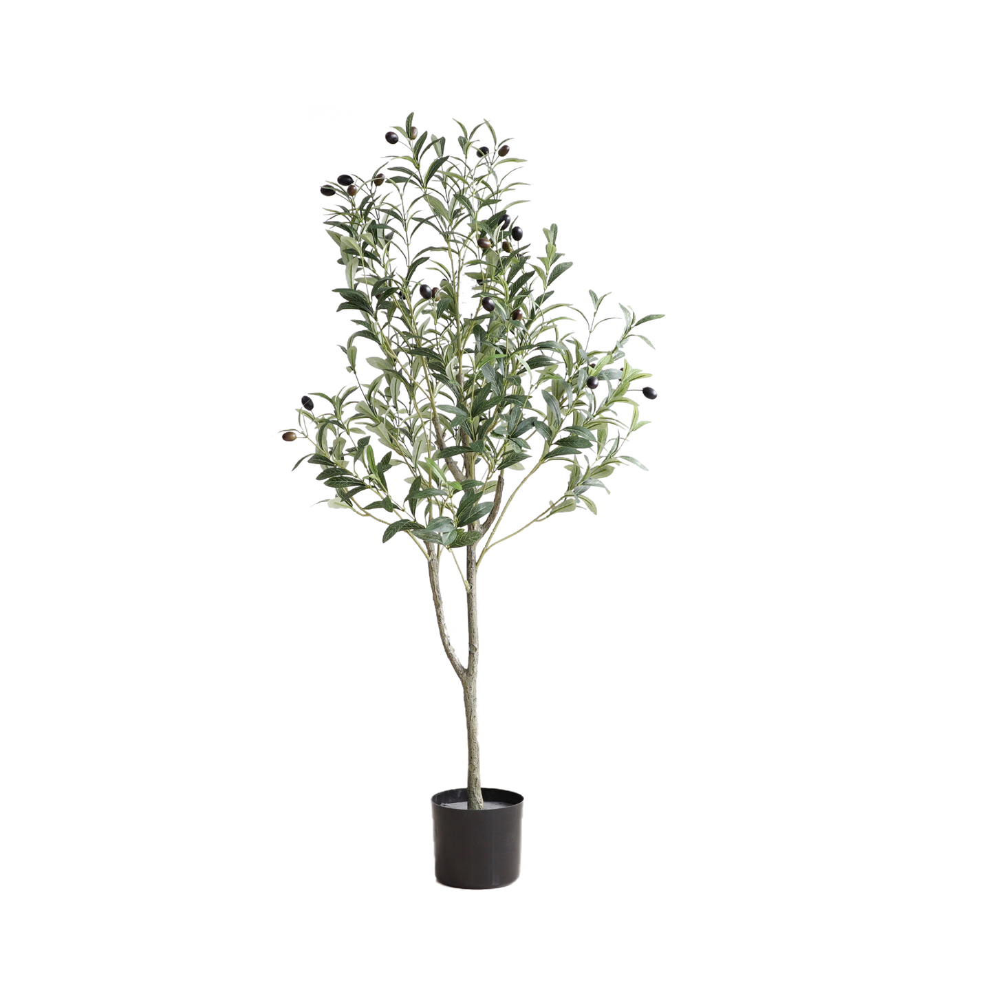 KA0062-Olive Tree-H120cm