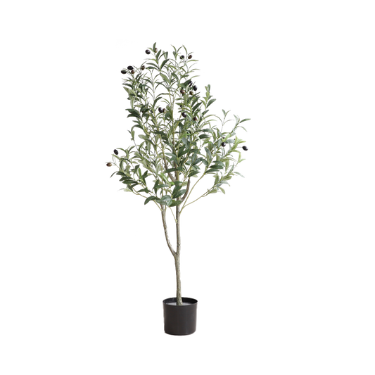 KA0062-Olive Tree-H120cm