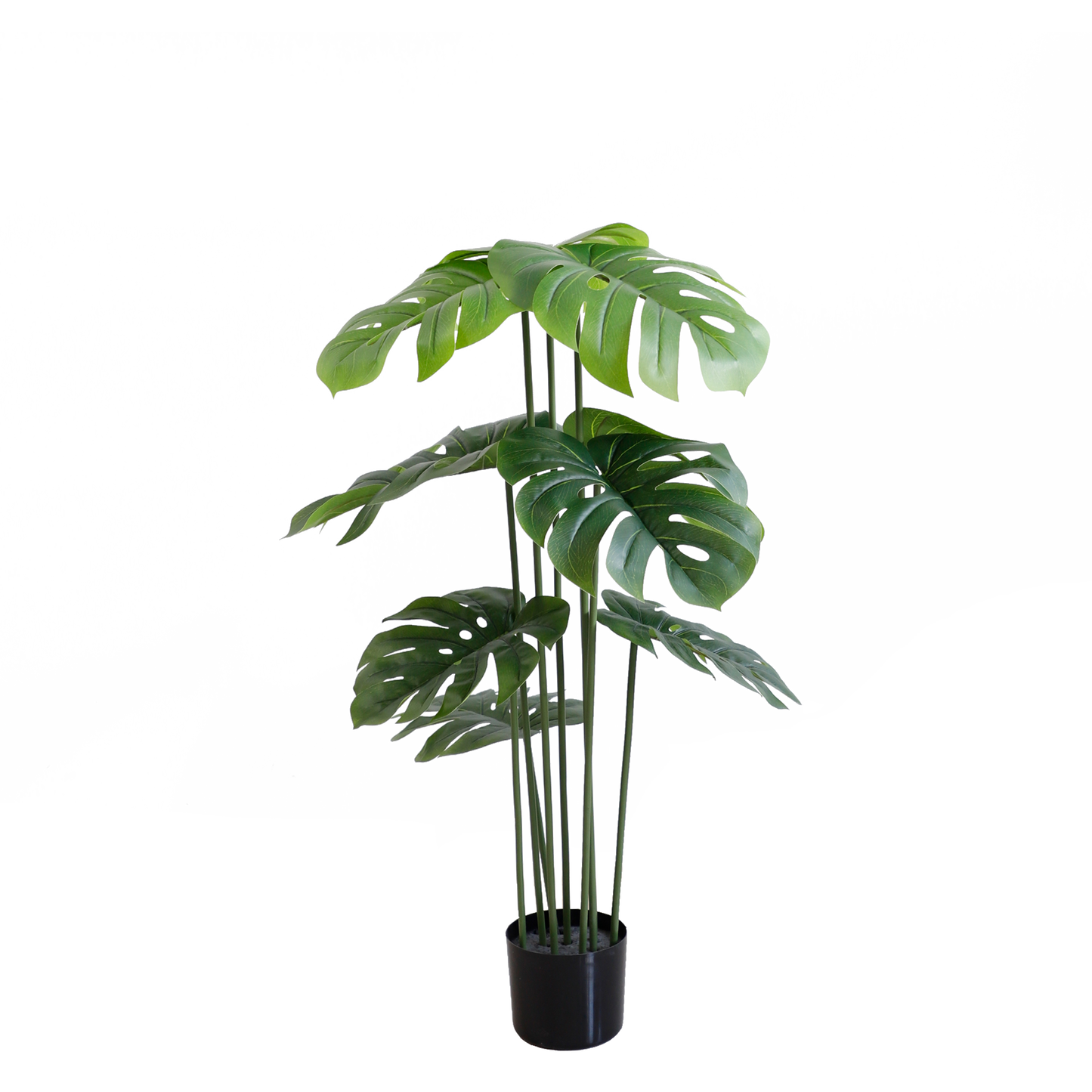 KA0064-Monstera-H120cm