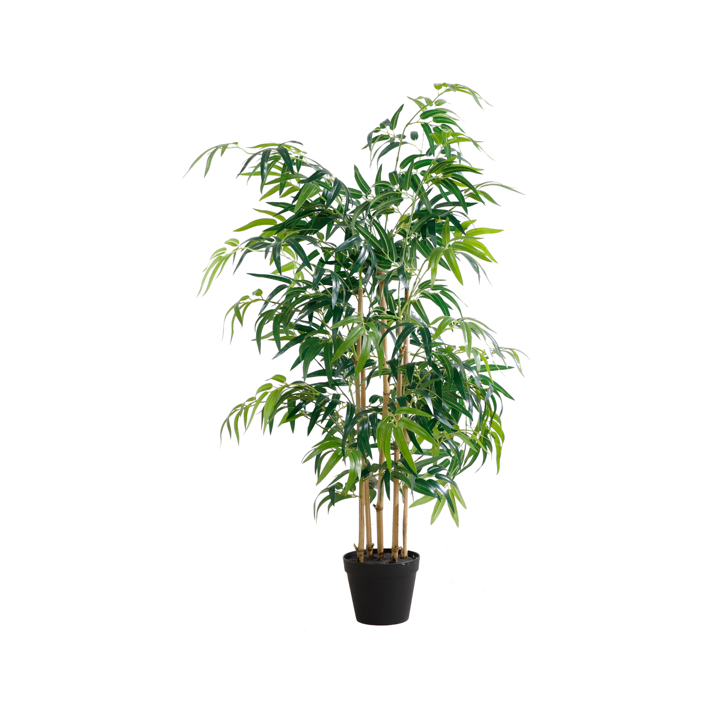 KA0067-Bamboo-H120cm