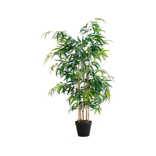 KA0067-Bamboo-H120cm