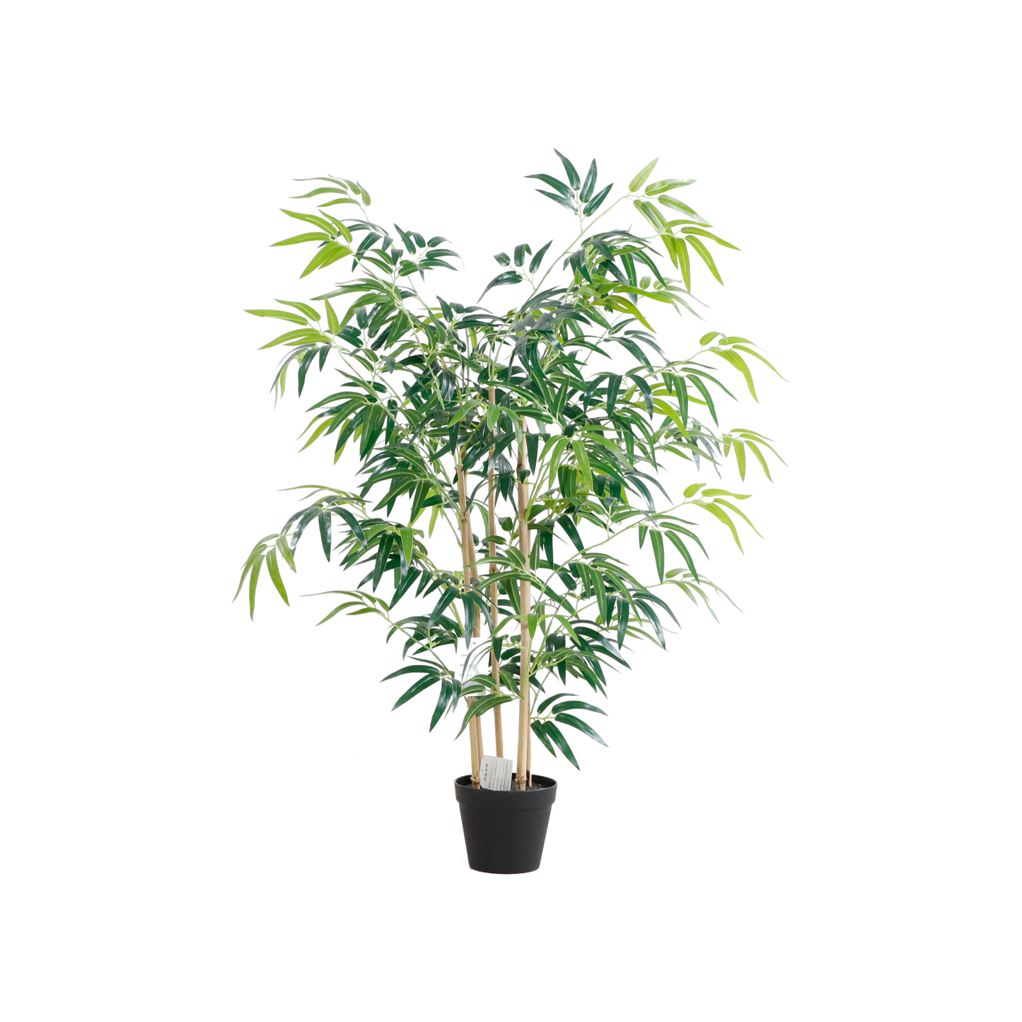 KA0068-Bamboo-H120cm